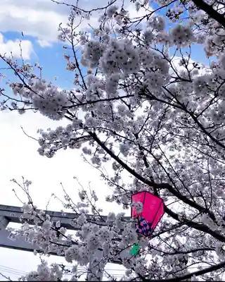 瀧宮神社(広島県)