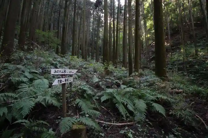 武蔵二宮 金鑚神社の自然