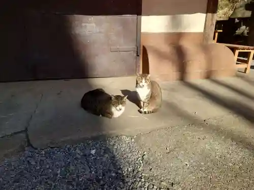 小野照崎神社の動物