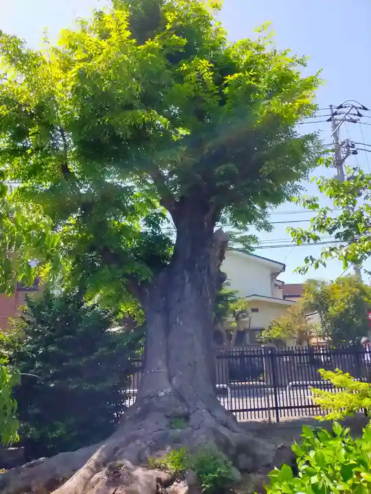 日野八坂神社(東京都)