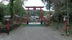 加紫久利神社の鳥居