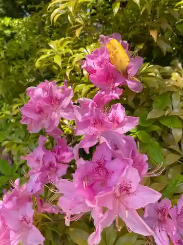 浄瑠璃寺の自然