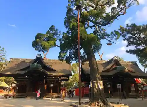 住吉大社の本殿