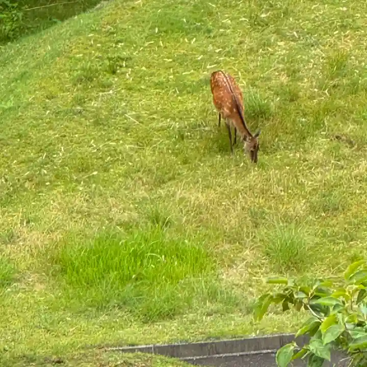 青岸渡寺(和歌山県)