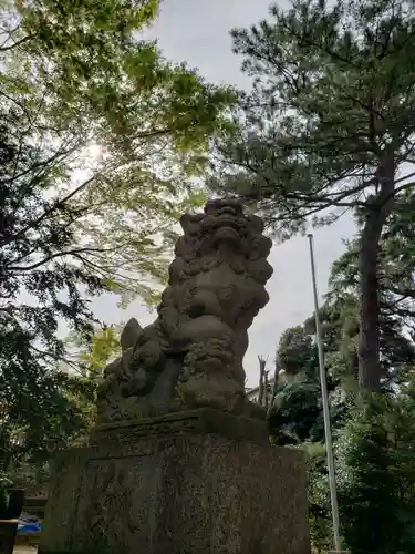 上高田氷川神社の狛犬