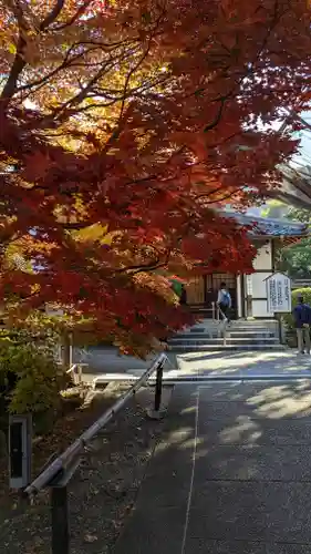 青蓮院門跡(京都府)