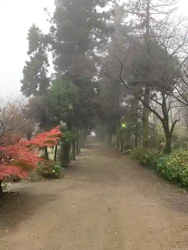 千代ケ岡八幡宮(栃木県)