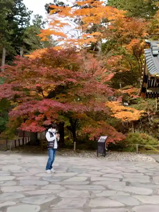 日光山輪王寺 大猷院の自然