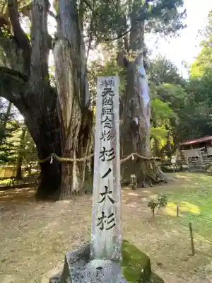 八坂神社(高知県)