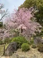 平安神宮の庭園