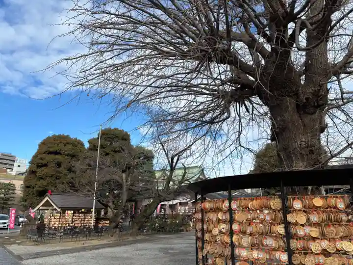 今戸神社(東京都)