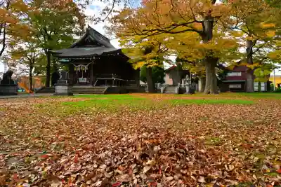 高彦根神社(新潟県)