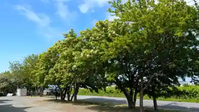 大成寺(北海道)