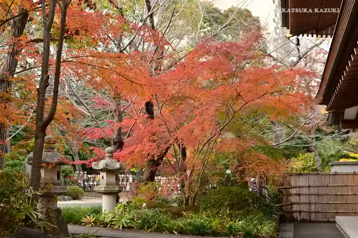 増上寺(東京都)