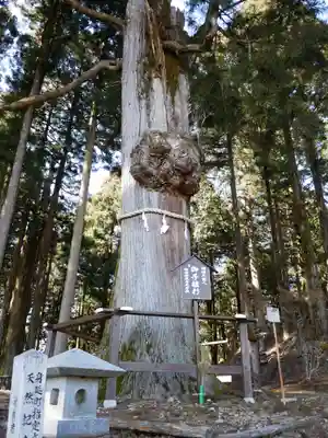 身延山奥之院思親閣のその他建物