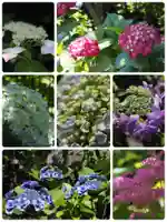 収玄寺(神奈川県)