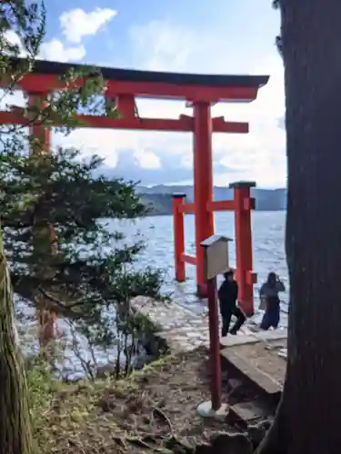 箱根神社の鳥居