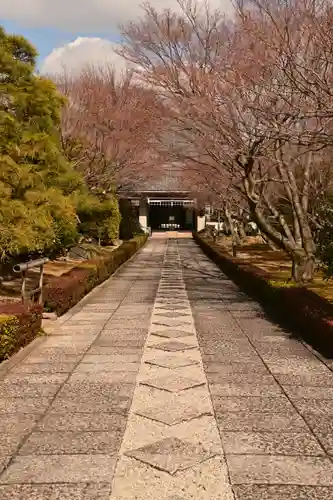 相国寺（相国承天禅寺）(京都府)