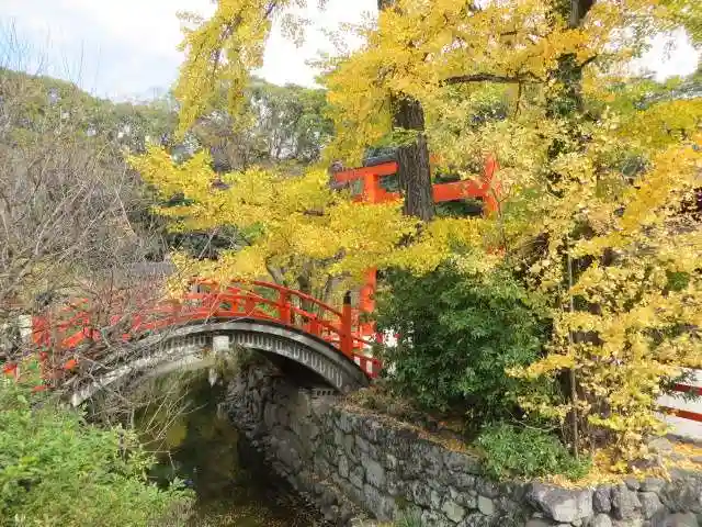 賀茂御祖神社(下鴨神社)の景色
