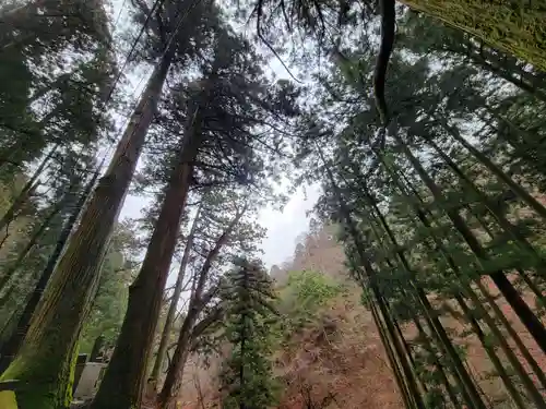 榛名神社(群馬県)