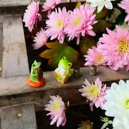 彌彦神社　(伊夜日子神社)の手水舎