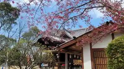 松山神社(愛媛県)
