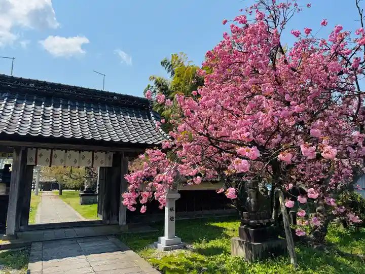 守りの神 藤基神社の山門・神門