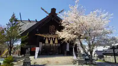 龍宮神社の本殿・本堂
