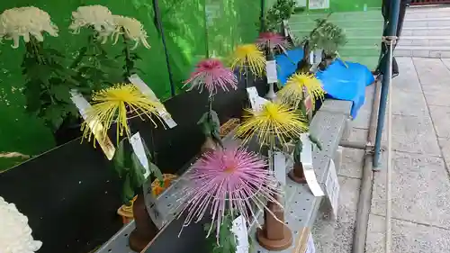 八幡八雲神社のその他建物