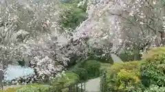 大神神社(奈良県)