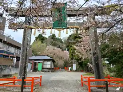 亀岡八幡宮(宮城県)