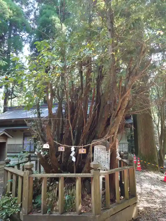 幣立神宮(熊本県)