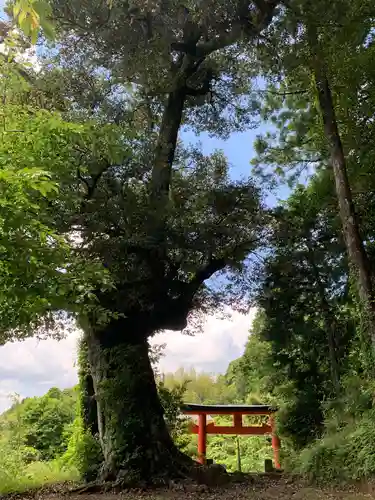 日枝神社のその他建物