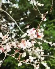 鹿島大神宮(福島県)