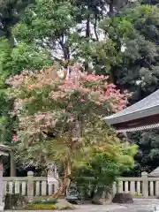 白鷺神社(栃木県)