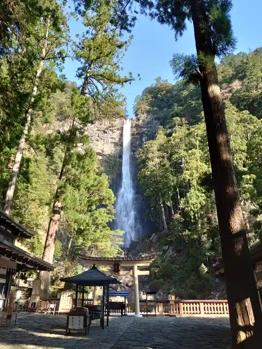 飛瀧神社(熊野那智大社別宮)の自然
