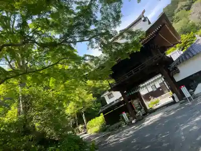 普門寺(切り絵御朱印発祥の寺)(愛知県)