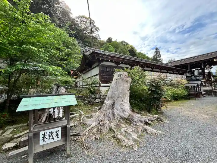 松尾大社(京都府)