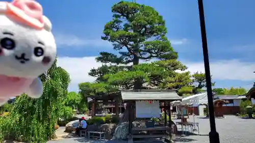 総持寺(大阪府)