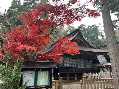 鹿島神宮(茨城県)