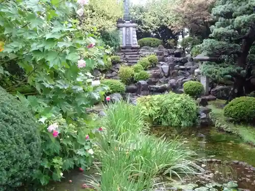 感通寺の庭園