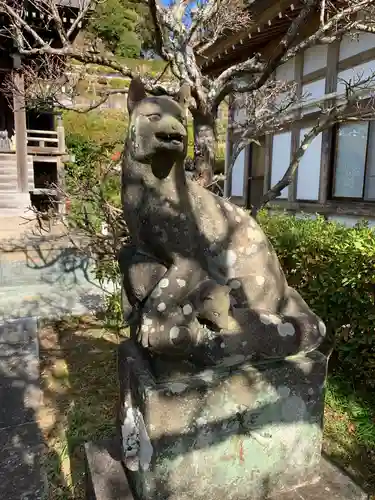 高照寺の狛犬