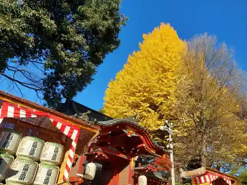 秩父神社(埼玉県)