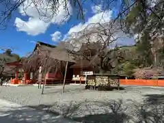 富士山本宮浅間大社(静岡県)