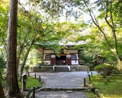 地蔵院(京都府)