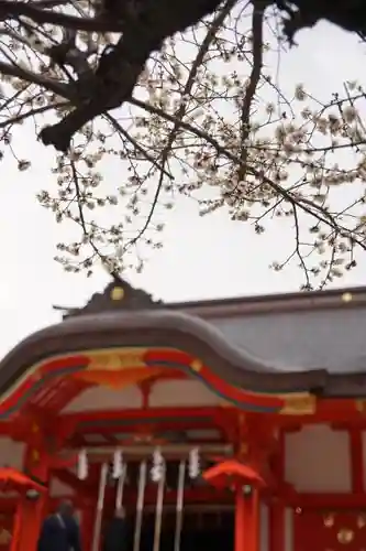 花園神社の自然