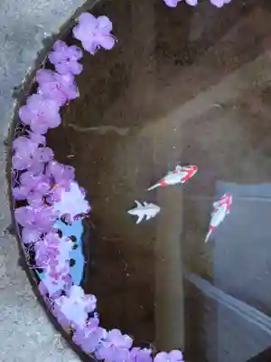 西野神社の手水舎