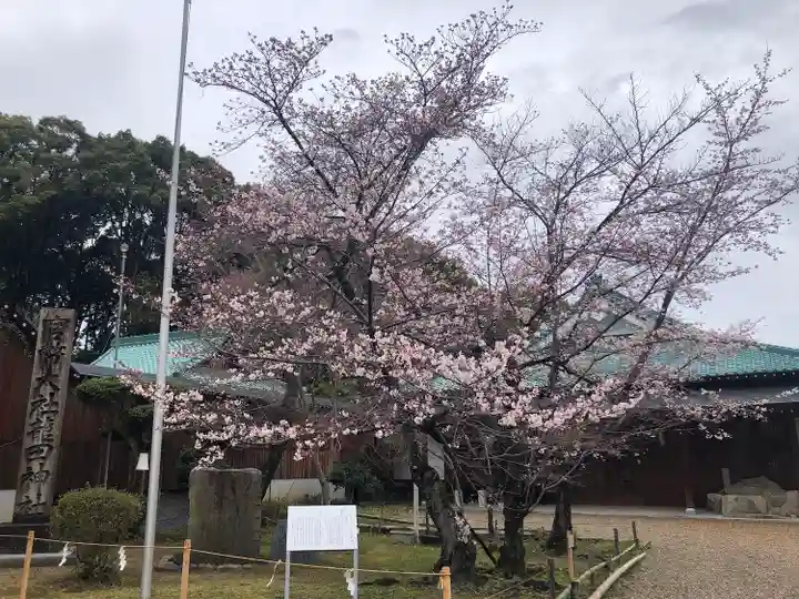 龍田大社の自然