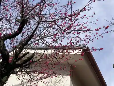 下長津田神社(神奈川県)