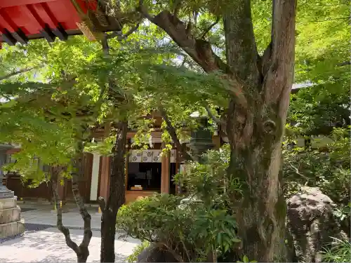 愛宕神社の自然